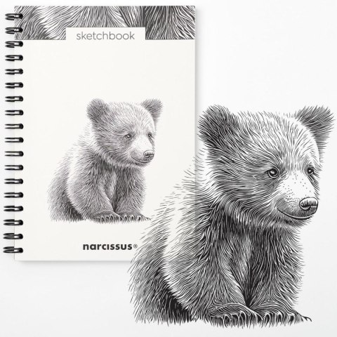 Blok artystyczny szkicownik niedziedź B5 120g 60k Narcissus