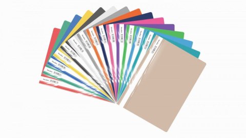 Skoroszyt A4 ECOnomy pomarańczowy polipropylen PP Biurfol (STP-01-08)