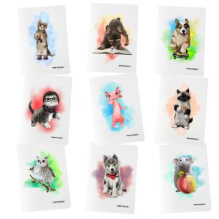 Zeszyt A5 PP 32k. 80g KRATKA Narcissus