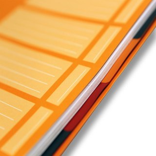 Kołozeszyt (kołonotatnik) A4+ International 80k. 80g krata Oxford (100102777)