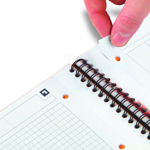 Kołozeszyt (kołonotatnik) A4+ International 80k. 80g krata Oxford (100102777)