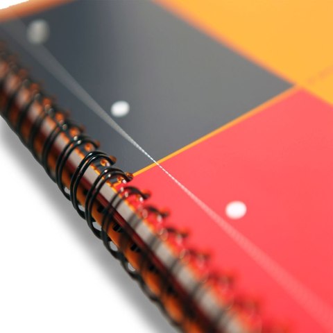 Kołozeszyt (kołonotatnik) A4+ International 80k. 80g krata Oxford (100102777)