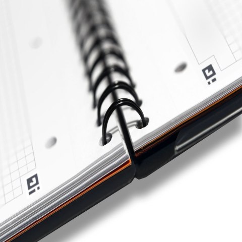 Kołozeszyt (kołonotatnik) A4+ International 80k. 80g krata Oxford (100102777)