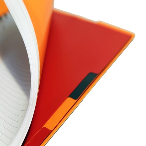 Kołozeszyt (kołonotatnik) A4+ International 80k. 80g krata Oxford (100102777)