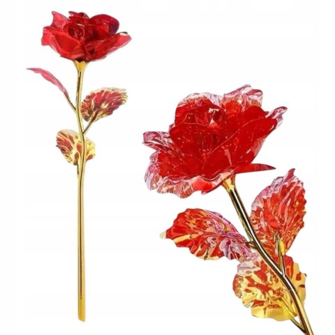 Kwiaty Wieczna róża błyszcząca, mix kolorów