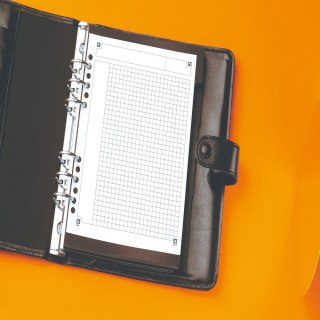 Notes (notatnik) A5+ International 80k. krata [mm:] 169x210 Oxford (100101849)