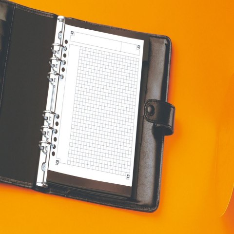 Notes (notatnik) A5+ International 80k. krata [mm:] 169x210 Oxford (100101849)