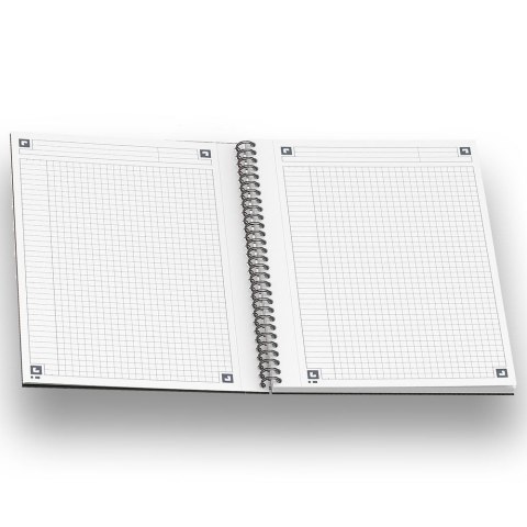Notes (notatnik) A5+ International 80k. krata [mm:] 169x210 Oxford (100101849)