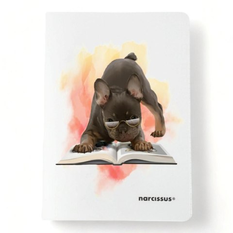 Zeszyt A4 PP 32k. 80g linia Narcissus