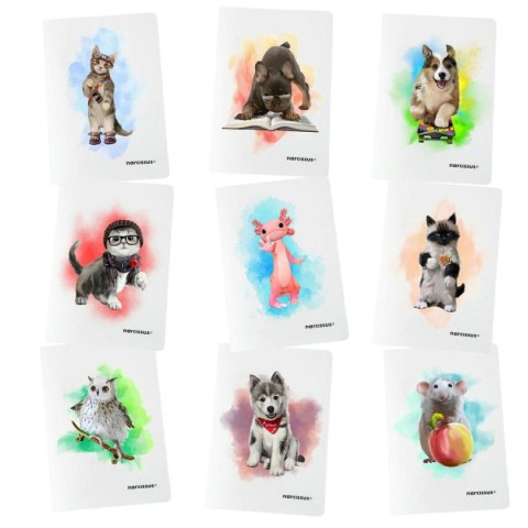 Zeszyt A5 PP 60k. 80g krata Narcissus