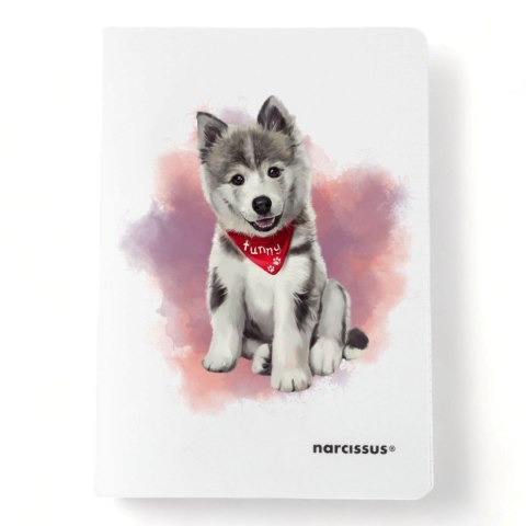 Zeszyt A5 PP 60k. 80g krata Narcissus