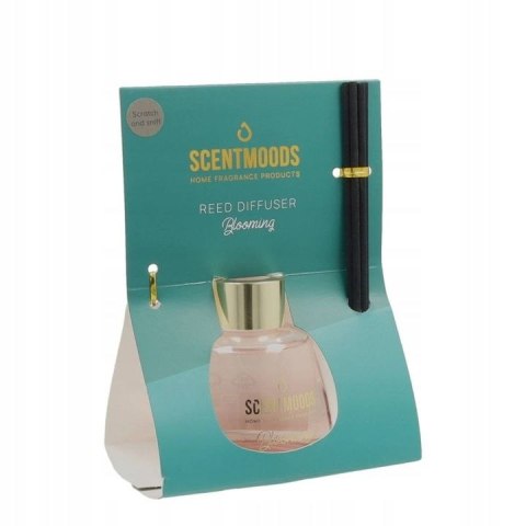 Odświeżacz powietrza ScentMoods Dyfuzor patyczkowy Blooming 100ml Pavoncella (8716516204154)