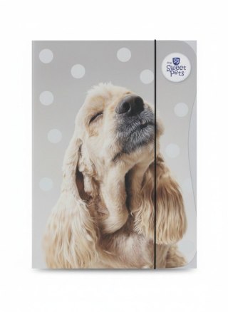 Teczka kartonowa na gumkę A4 mix Beniamin