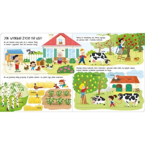 Książka dla dzieci Co i jak? Otwórz okienka! Na wsi Aksjomat