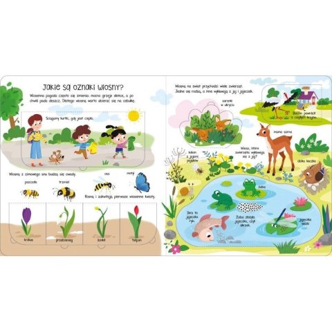 Książka dla dzieci Co i jak? Otwórz okienka! W przyrodzie Aksjomat