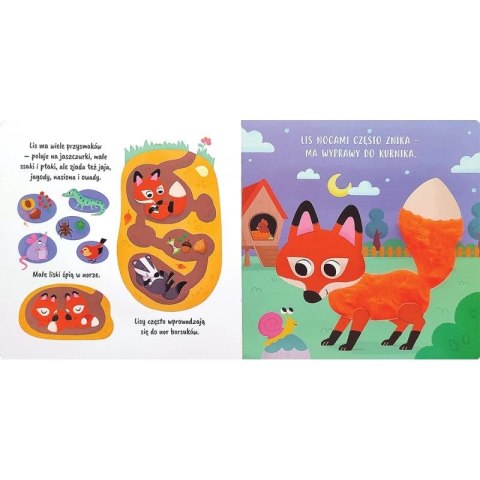 Książka dla dzieci Dotykam i poznaję. W lesie. Książeczka sensoryczna Aksjomat