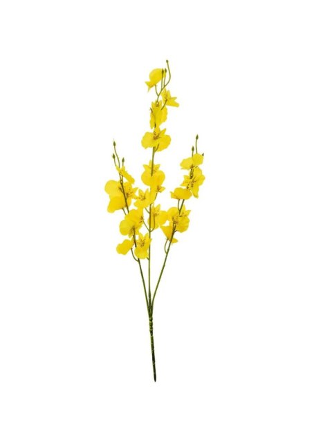 Kwiaty Gałązka storczyk mini Arpex (VW8747)