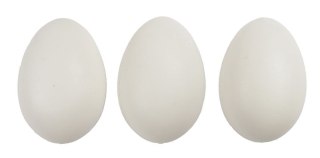 Ozdoba wielkanocna Craft-Fun Series Jajka plastikowe Titanum