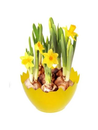 Ozdoba wielkanocna Osłonka wielkanocna skorupka - żółta Arpex (WN3605ZOL-4671)