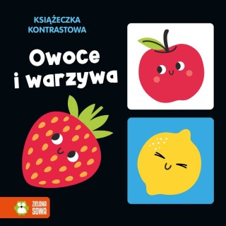 Książka dla dzieci Owoce i warzywa Zielona Sowa