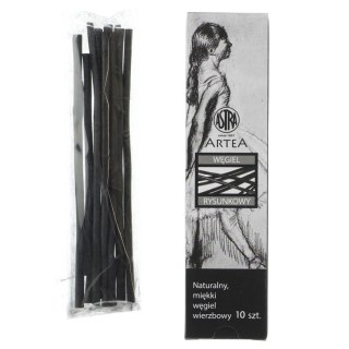 Węgiel rysunkowy 10 szt Artea (323115004)