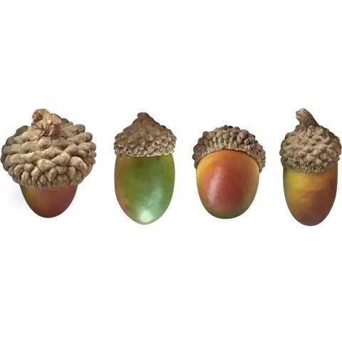 Dodatek Craft-Fun Series żołędzie Titanum (20610)