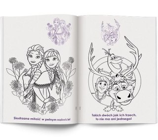 Książka dla dzieci Kraina Lodu Ameet (NA 9143)