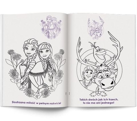 Książka dla dzieci Kraina Lodu Ameet (NA 9143)