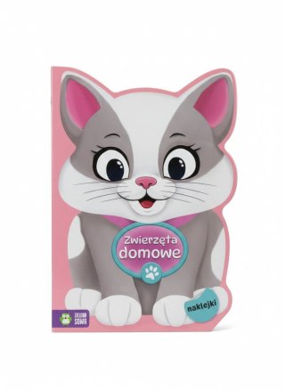 Książka dla dzieci Na tropie kolorów. Zwierzęta domowe Aksjomat