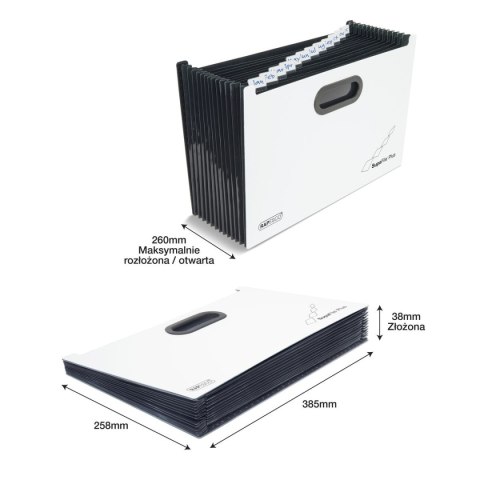 Teczka z przegródkami harmonijkowa A4 kolor: biało-czarny 13 przegródek Rapesco