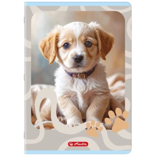 Zeszyt A4 ANIMALS 32k. 70g linia podwójna kolorowa Herlitz (400206431)