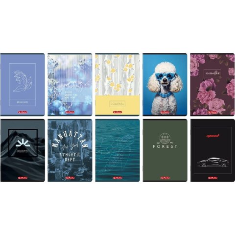 Zeszyt A5 mix2 32k. 70g krata Herlitz (400208489)