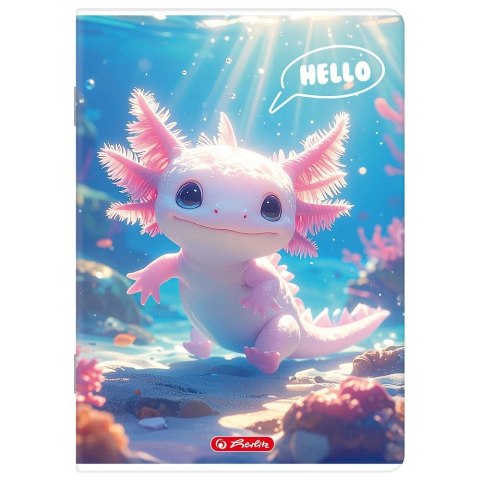 Zeszyt A4 mix 32k. 70g linia podwójna kolorowa Herlitz (400206361)