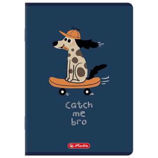 Zeszyt A5 mix 16k. 70g linia podwójna kolorowa Herlitz (400206335)