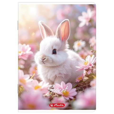 Zeszyt A5 mix 16k. 70g linia podwójna kolorowa Herlitz (400206335)