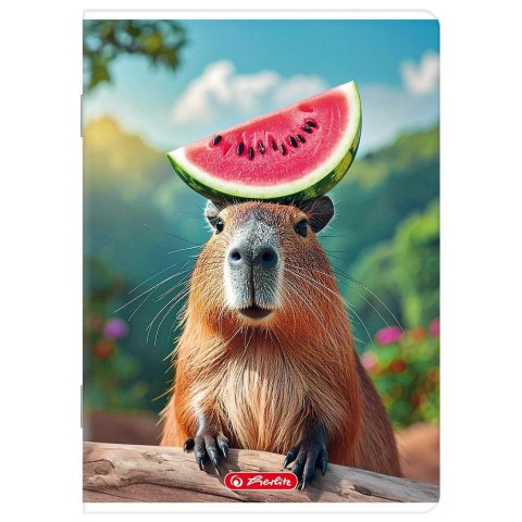 Zeszyt A5 mix 32k. 70g linia podwójna kolorowa Herlitz (400206339)