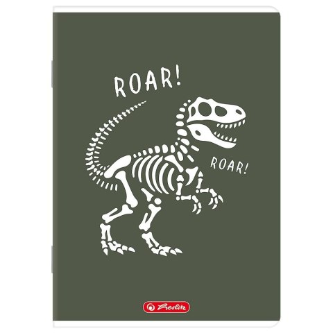 Zeszyt A5 mix 32k. 70g linia podwójna kolorowa Herlitz (400206339)