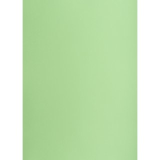 Brystol groszkowy B2 zielony 225g 25k Creatinio (400150336)