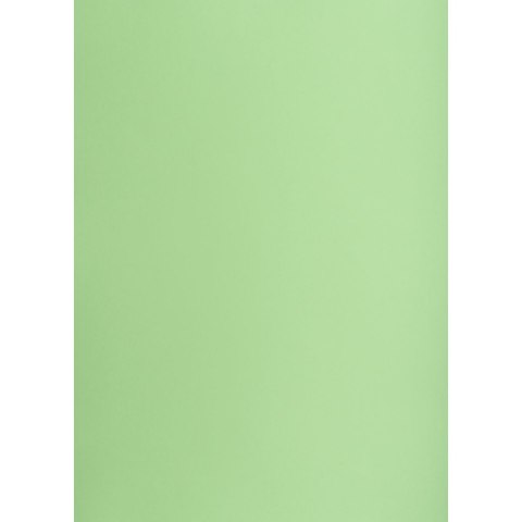 Brystol groszkowy B2 zielony 225g 25k Creatinio (400150336)