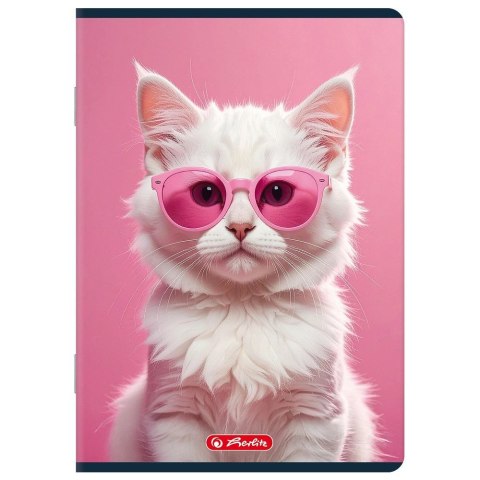 Zeszyt A5 mix 2 60k. 70g czysty Herlitz (400206345)