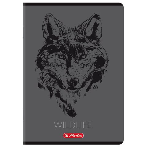 Zeszyt A5 mix 80k. 70g linia Herlitz (400206358)