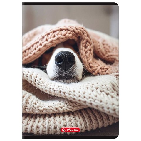 Zeszyt A5 mix 80k. 70g linia Herlitz (400206358)