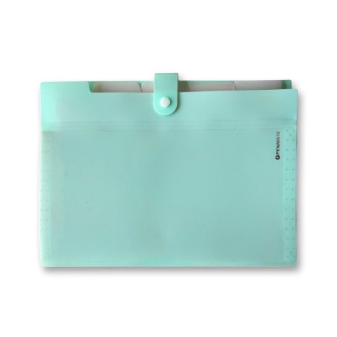 Teczka z przegródkami zielona 5906910827865 A4 kolor: zielony Eco (TT8352)