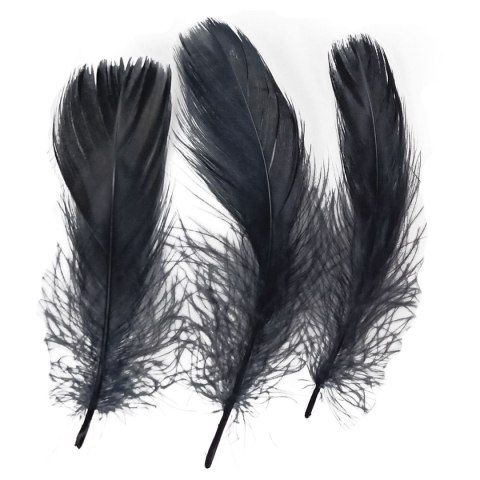 Piórka Craft-Fun Series czarne Titanum