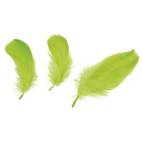 Piórka Craft-Fun Series limonka Titanum