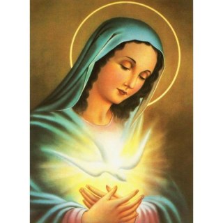 Zestaw kreatywny Diamentowa mozaika Matka Boska 40x30cm Norimpex (NO-1007127)