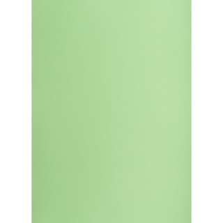 Brystol A1 groszkowy 160g 25k [mm:] 610x860 TOP-2000 (400149556)