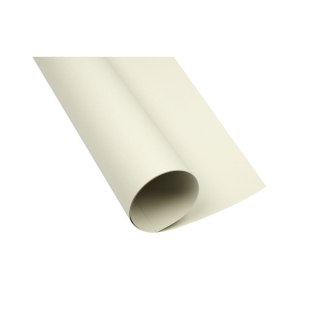 Brystol A1 jasnoszary 160g 25k [mm:] 610x860 TOP-2000 (400149522)