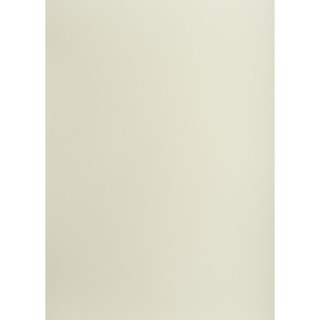 Brystol A1 jasnoszary 160g 25k [mm:] 610x860 TOP-2000 (400149522)