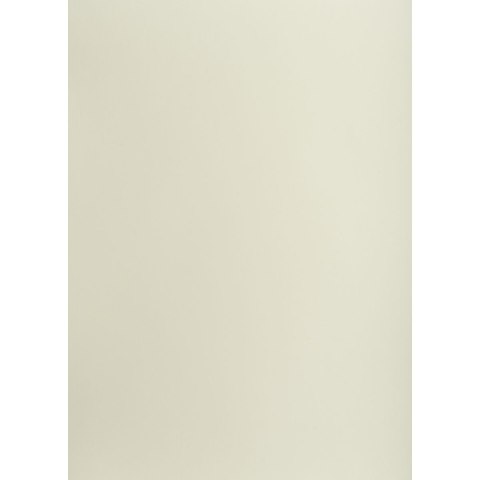 Brystol A1 jasnoszary 160g 25k [mm:] 610x860 TOP-2000 (400149522)